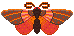 Chicken's Bug